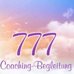 Individuelle Begleitung 777