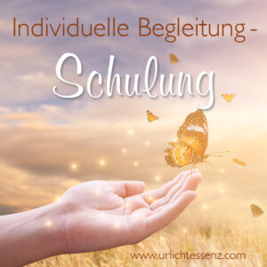 BewusstSEINS-Schulung-Begleitung